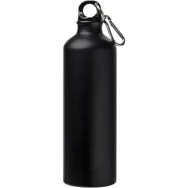 Logotrade promotional giveaway image of: Oregon 770 ml matte water bottle with carabiner