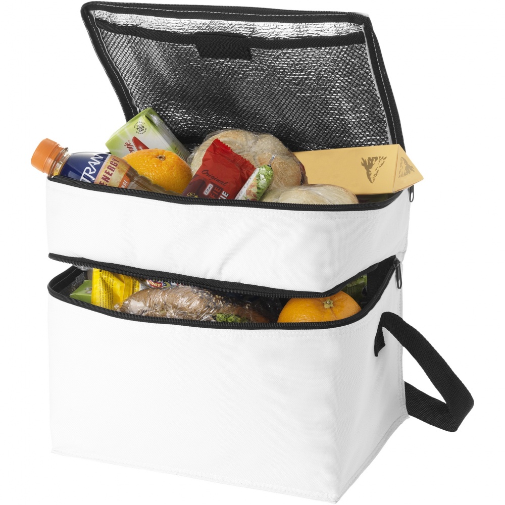 Logotrade promotional product image of: Oslo 2-zippered compartments cooler bag 13L