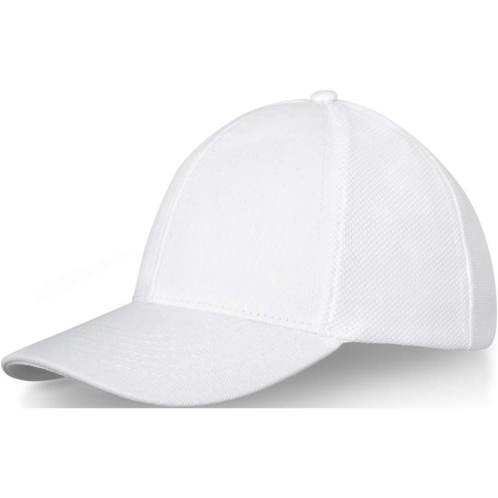 Logo trade promotional gifts image of: Drake 6 panel trucker cap