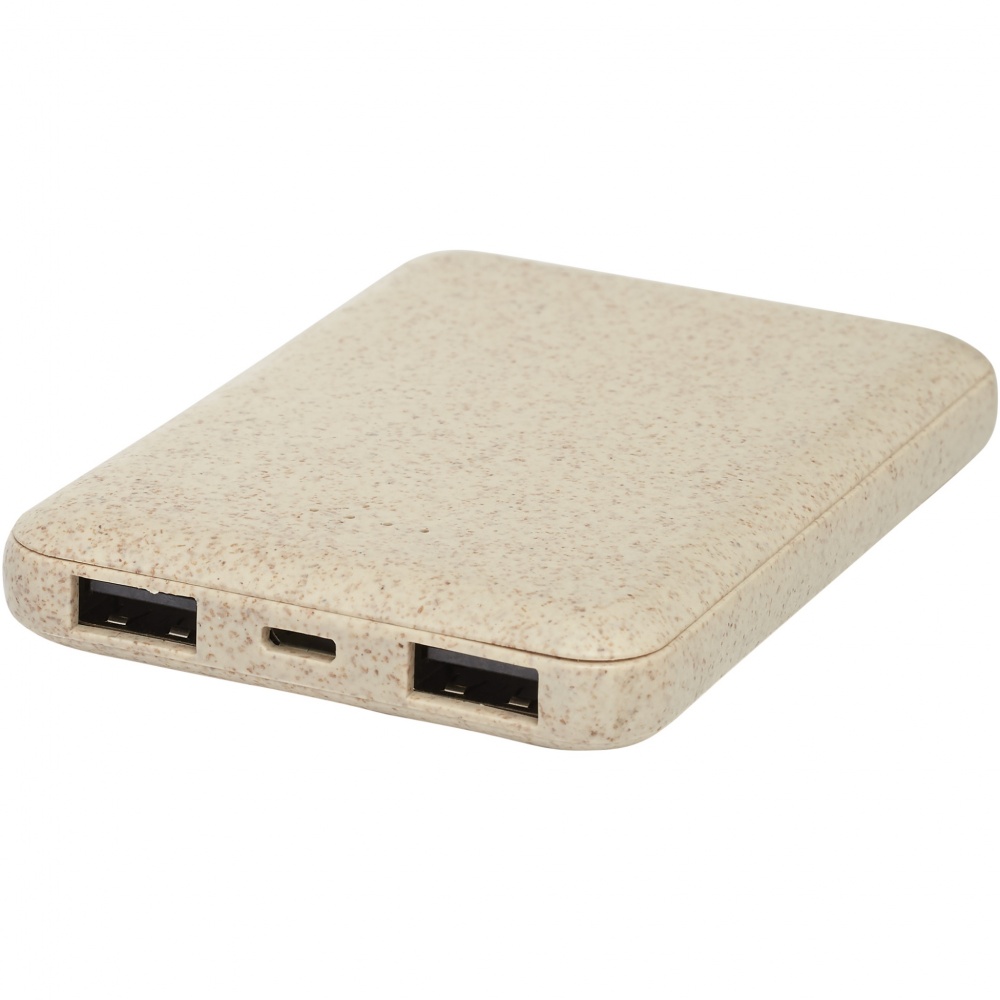 Logo trade corporate gifts picture of: Asama 5000 mAh wheat straw power bank