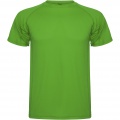 Montecarlo short sleeve kids sports t-shirt, Fern green