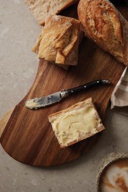 Logo trade promotional giveaways picture of: VINGA Gigaro butter knives