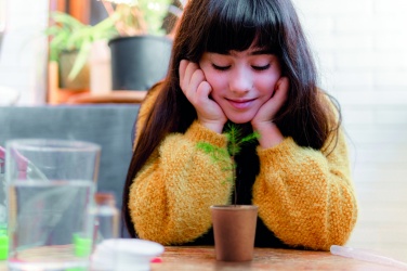 Logotrade advertising product picture of: Pine tree set