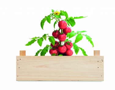 Logo trade corporate gift photo of: Tomato kit in wooden crate
