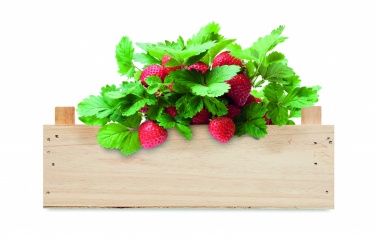 Logo trade advertising product photo of: Strawberry kit in wooden crate