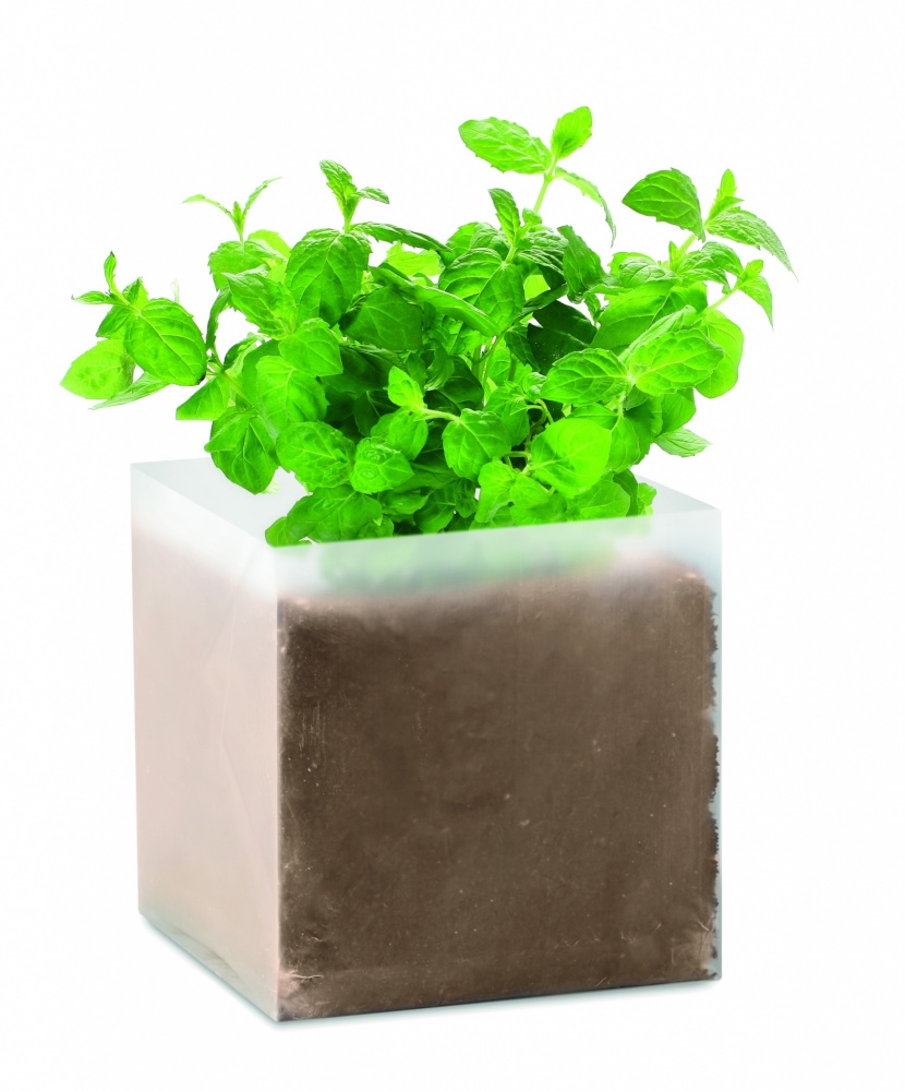 Logotrade promotional merchandise picture of: Compost with seeds "MINT"