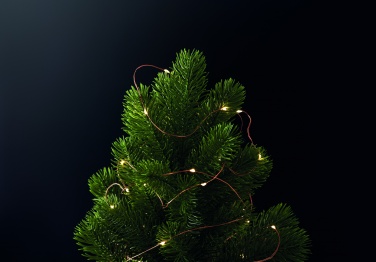 Logotrade promotional gift picture of: LED fairy lights string 5m