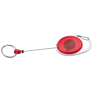 Logo trade promotional items image of: Ski-Pass with Carabiner Keyring EMPLOYEE
