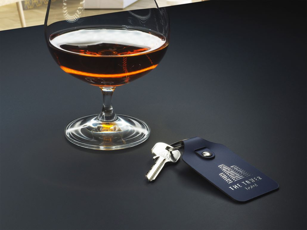 Logo trade promotional items picture of: Keyring 1200094