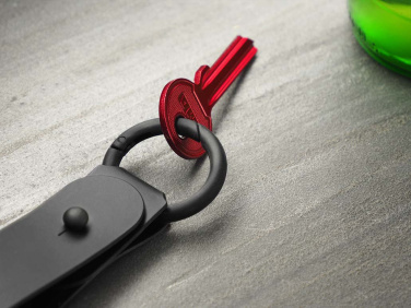 Logotrade promotional merchandise photo of: Keyring 1709094