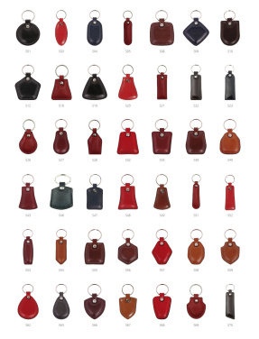 Logo trade promotional merchandise image of: Keyring 178011