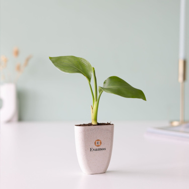 Logo trade promotional giveaways image of: Treemore Letterbox Trees Bird of Paradise plant