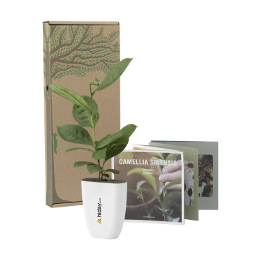 Logo trade corporate gifts picture of: Treemore Letterbox Trees Tea plant