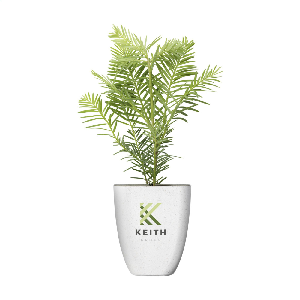 Logo trade advertising product photo of: Treemore Letterbox Trees Giant Sequoia