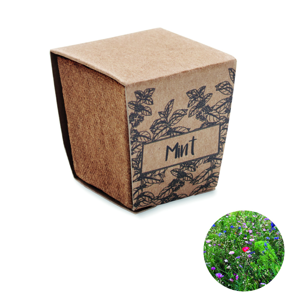 Logo trade advertising products image of: Mint seeds growing kit