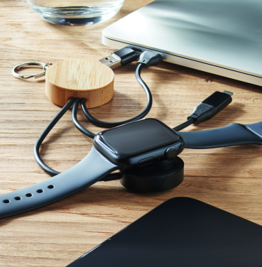 Logotrade promotional giveaway image of: Key ring with 4 in 1 60W cable