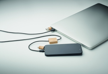 Logo trade promotional giveaway photo of: 60W charging cable