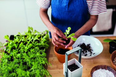 Logo trade corporate gift photo of: Indoor garden with LED light