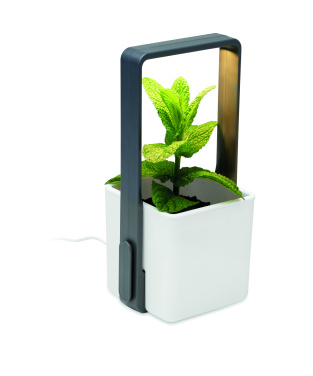 Logotrade corporate gifts photo of: Indoor garden with LED light