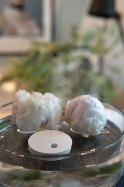 Logo trade promotional gifts picture of: Breevia RCS rplasic re-chargeable floating humidifier