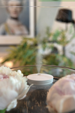 Logo trade advertising product photo of: Breevia RCS rplasic re-chargeable floating humidifier