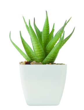 Logotrade business gifts photo of: Mini artificial plant