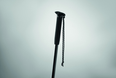 Logotrade promotional item image of: Telescopic walking pole