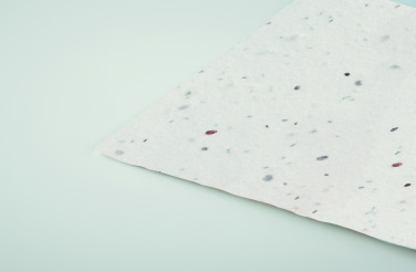 Logotrade promotional items photo of: Wildflower seed business card.