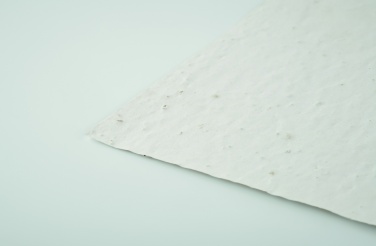 Logo trade ärikingitused foto: A5 metsalilleseemne paberileht