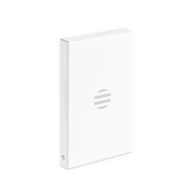 Logotrade reklaamkingi foto: Alumiiniumist pagasilipik