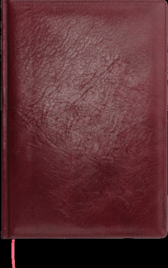 Logo trade ärikingituse pilt: Kalendermärkmik 645131