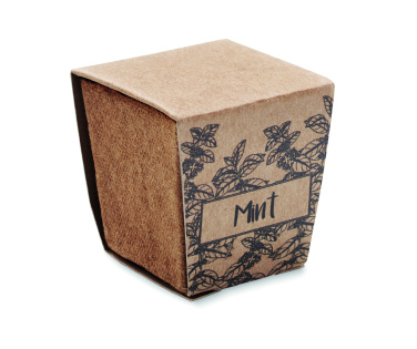 Logotrade ärikingituse foto: Mündiseemnete kasvatamise komplekt