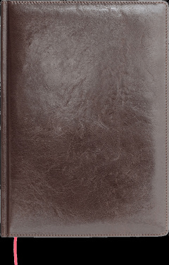 Logotrade liikelahjat kuva: Kalenteri 642131