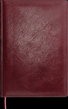 Logotrade reklaminės dovanos nuotrauka: kalendoriui 642131