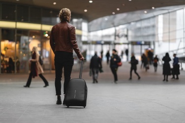 Лого трейд бизнес-подарки фото: Рюкзак-тележка Bobby